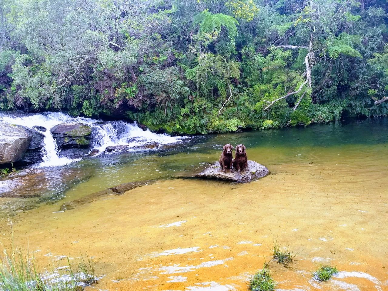 Aiuruoca Minas Gerais fonte: dynamic-media-cdn.tripadvisor.com Fonte: dynamic-media-cdn.tripadvisor.com